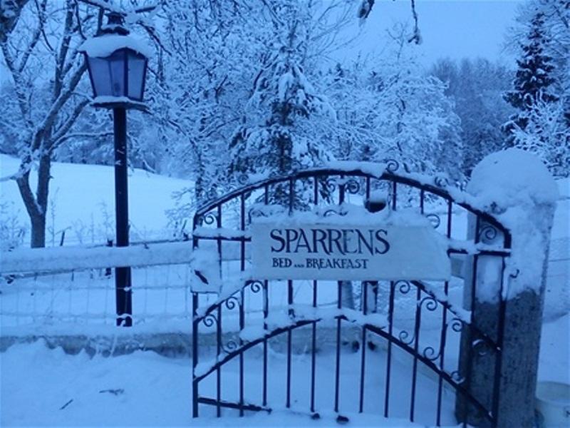 Sparrens Bed And Breakfast Fiskesa 외부 사진